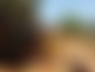 Conductor quedó atrapado en vehículo luego de volcar