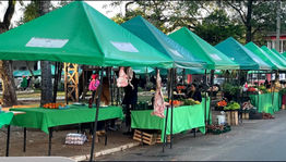 Ofrecen productos frescos de estación: En la Feria de la Amistad los martes y viernes