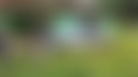 ENCARNACIÓN: Recuperan camioneta robada tras asalto en Encarnación. 