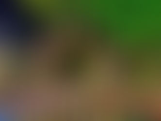 Gran concierto de la juventud: Albergó a un aproximado de 6 mil personas