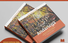 Andariega, reseña histórica de Villarrica: Ofrece un recorrido por el origen de la ciudad