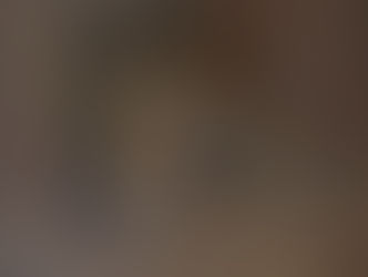 Jerovía, el jaguareté rescatado, inicia una nueva etapa en Itaipú