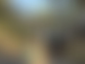 Senepa confirma un caso por dengue: Después de cuatro meses sin reportes positivos