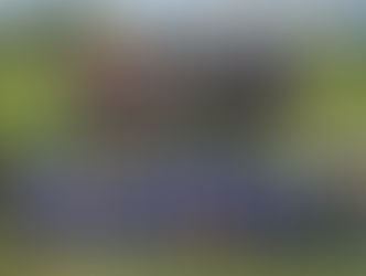 Rincón y 14 de Mayo vuelven a cruzarse en cuartos: El equipo azul sueña con el título de la temporada