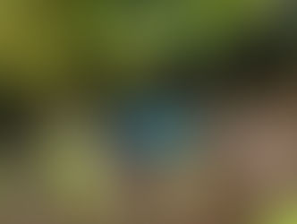 Minga Guazú: Encuentran cadáver que sería de un hombre en cauce del río Monday