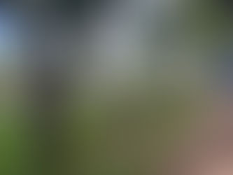 Limpieza en el Parque del Guairá: Trabajo interinstitucional entre Gobernación y Militares