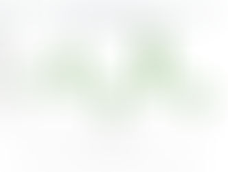 Mercado laboral paraguayo registra más de 124.000 nuevos ocupados en el segundo trimestre del año