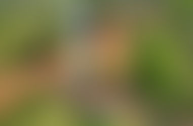 Solicitan construcción de pozo artesiano: Para institución educativa de la compañía Cañada