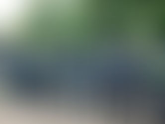 Lince destaca buenos operativos: No se registraron detenciones en las últimas semanas