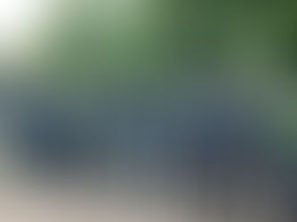 Lince destaca buenos operativos: No se registraron detenciones en las últimas semanas