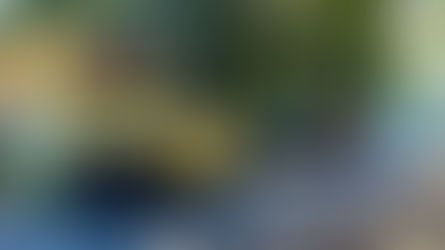 Vecinos celebran obra asfáltica: Resaltan que fue una promesa del gobernador Cesarito Sosa