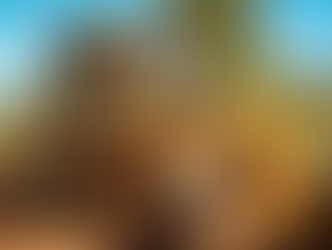 Concejales reclaman uso de motoniveladora: Solicitaron su uso para asistir a familias rurales