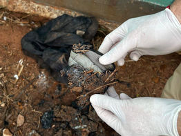 Hombre de 76 años asesinado en Paso Yobái: Víctima fue encontrada con un cuchillo incrustado en el cuello