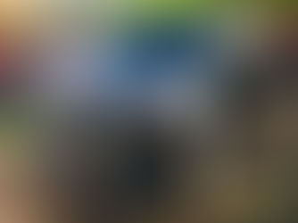 Incautan camioneta "Cabrito": Conductora presentó documentos presumiblemente falsos