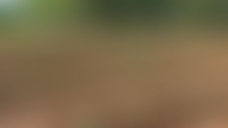 Huerta productiva impulsa reinserción: 34 personas privadas de libertad participan del proyecto