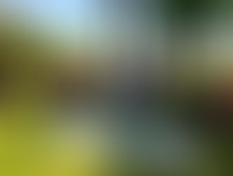 SEN culmina asistencia a familias afectadas por temporales en Caazapá y Paraguarí