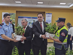 Gobernación entregó 2.000 plantines: A Comisarías, subcomisarías y USF del Guairá