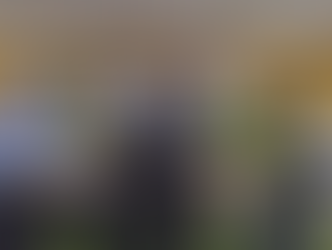 Gobernación entregó 2.000 plantines: A Comisarías, subcomisarías y USF del Guairá