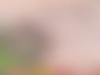 Nuevo caso de maltrato animal: Activistas rescataron al animal, lamentablemente murió