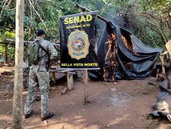 Más de US$ 12 millones en perjuicio del narcotráfico concretó Senad en la última semana