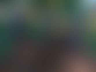 Producen hortalizas para supermercado: Personas privadas de libertad cultivan con miras a abastecer comercios