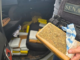 Senad incauta cargamento de marihuana “Colombian Gold” en Santa Rosa del Aguaray