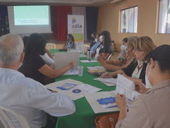 Nueva mesa de protección para Eugenio Garay, Doctor Botrell y Paso Yobái