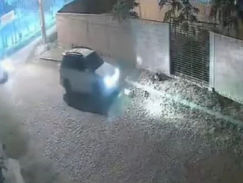 Dictan prisión preventiva para el conductor que atropelló y mató a dos perros en Carapeguá