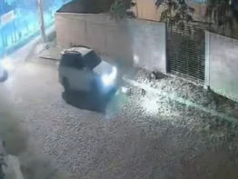 Dictan prisión preventiva para el conductor que atropelló y mató a dos perros en Carapeguá