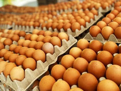 ¿Por qué se disparó el precio de los huevos?