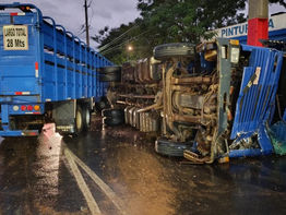 Camión transganado choca contra un colectivo y deja cinco heridos en Villa Elisa