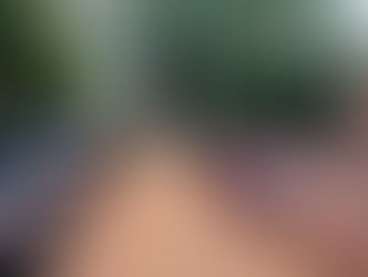 Piden liberación del líder yerbatero: Anuncian medidas de protestas duras por supuesta injusticia