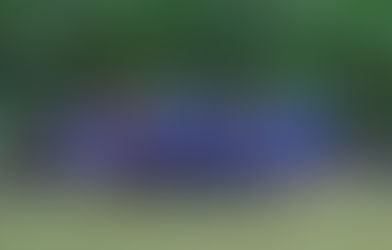 Los semifinalistas de la Copa Gobernación: 3 de Mayo, Destello Juvenil, Vista Alegre y Sport Juventud