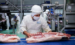 Senacsa anuncia habilitación de frigoríficos para exportar carne porcina a Argentina