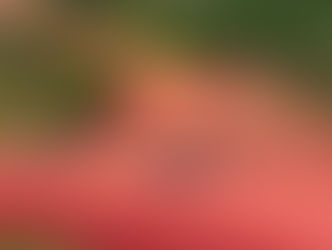 San Pedro acelera su desarrollo con los Corredores Agroindustriales