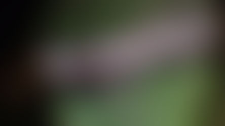 ITAPÚA: Motociclista fallece tras caer a una zanja sobre la Ruta PY07 en Yatytay.