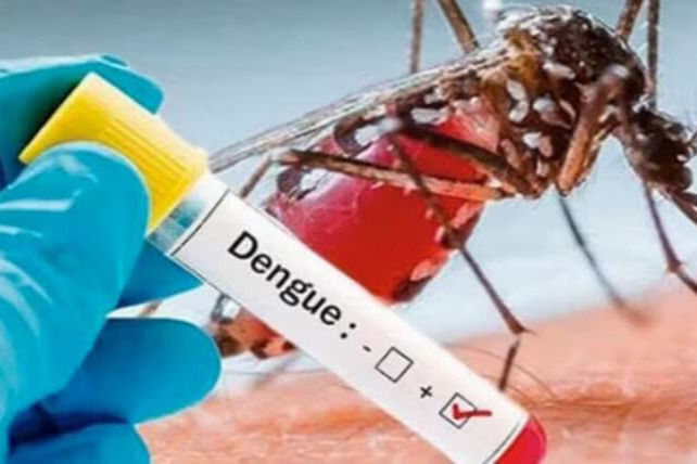SENEPA reporta casos sospechosos de dengue: Bloquean 9 manzanas en San Miguel y controlan vectores