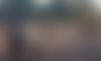 Recuperan animales vacunos: Rápida acción policial permitió recuperar las vacas