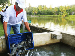 Capacitación a piscicultores: Dirigido a comités y asociados del rubro