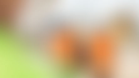 A Summary of the CIS Reforms (April 2026)