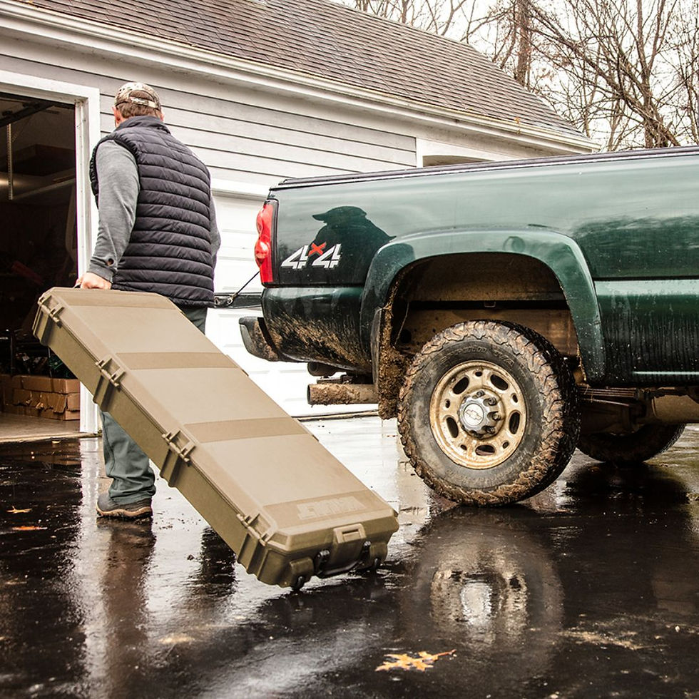 Miniatura: Case Vault V800