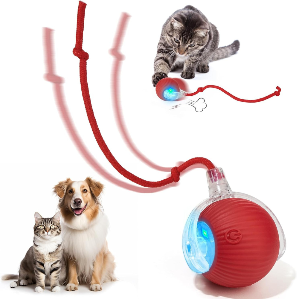 Bola Inteligente para Gatos e Cães