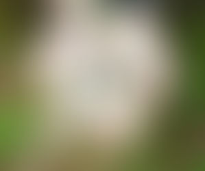 How I Managed Money As a Teenager