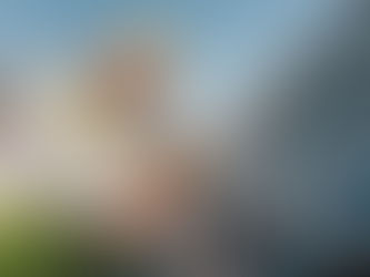 Roofing Installation Services