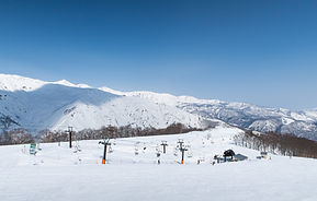 IMG_0238website-1-3.jpg