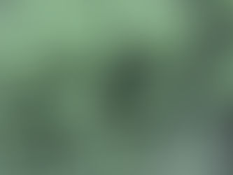 Volkswagen Golf - Vacuum Test