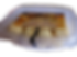 panderos.png