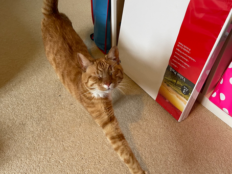 Happiness: Kitties et al