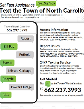 texmygov flier 2 jpg.png