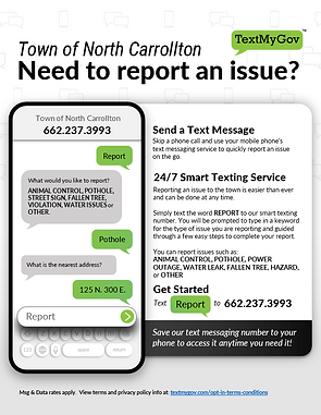 Texmygov flier 1 jpg.png